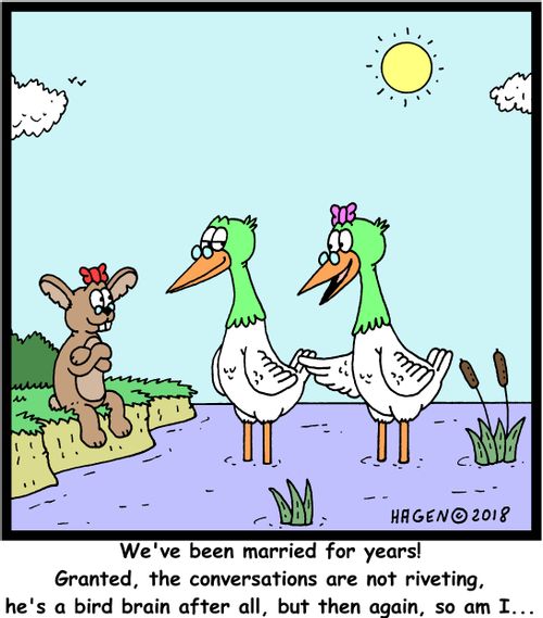 "We've been married for years! Granted, the conversations are not riveting, he's a bird-brain after all, but then again, so am I..."
