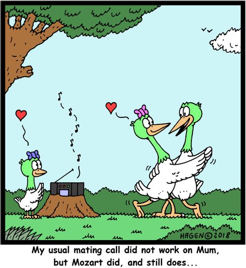 "My usual mating call did not work on Mum, but Mozart did, and still does..."