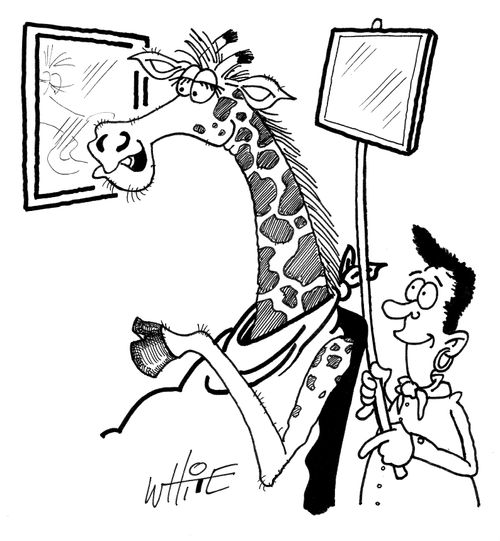 Giraffe at the hairdressers