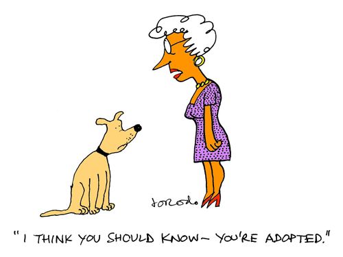 "I think you should know - you're adopted."