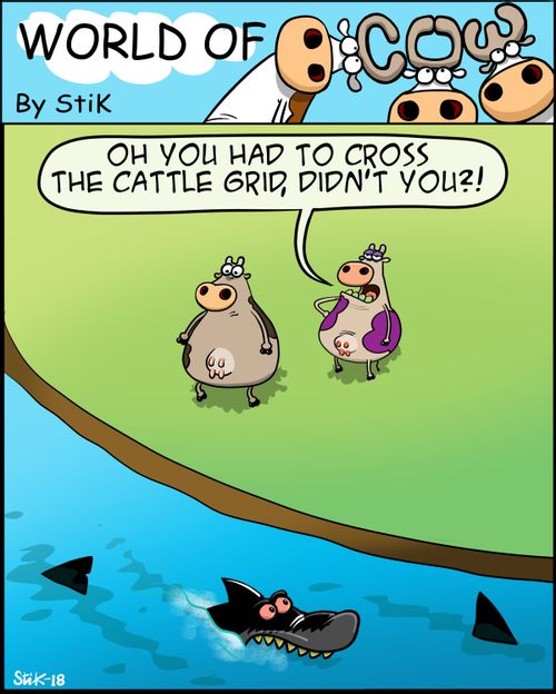 "Oh you had to cross the cattle grid, didn't you?!"