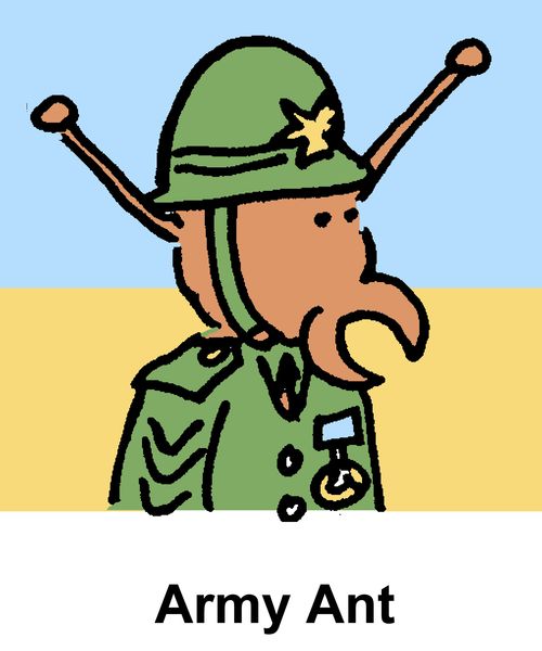 Army Ant