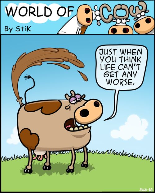 "Just when you think life can't get any worse."