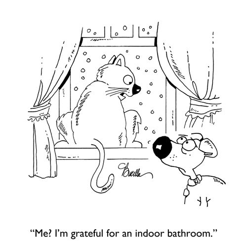 "Me? I'm grateful for an indoor bathroom."