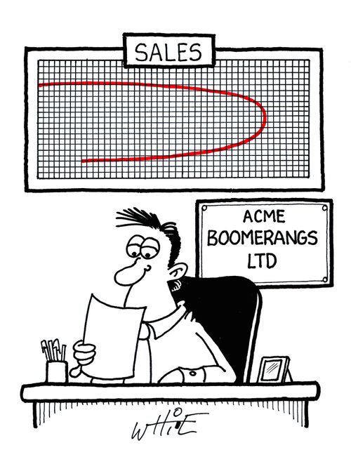 Sales Chart: Boomerangs LTD