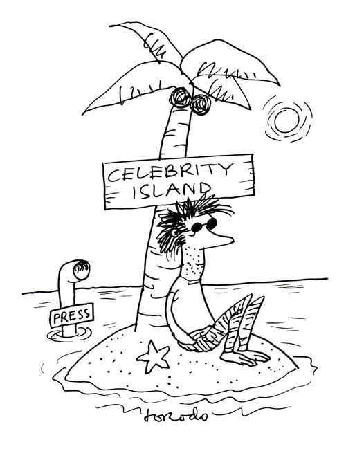 Celebrity Island