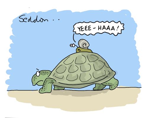 "YEEE-HAAA!"