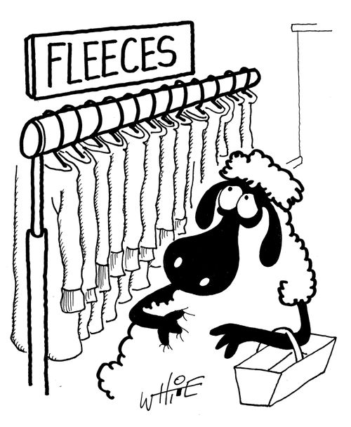 Fleeces for sale