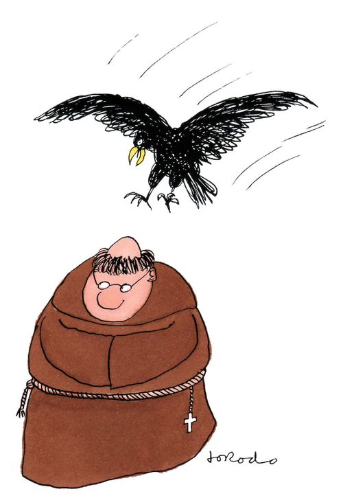 Bird landing on egghead monk