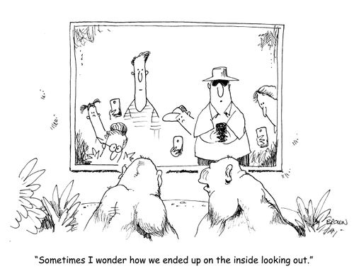 "Sometimes I wonder how we ended up on the inside looking out."