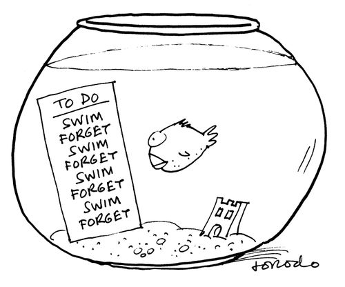 To Do: Swim, Forget, Swim, Forget, Swim....
