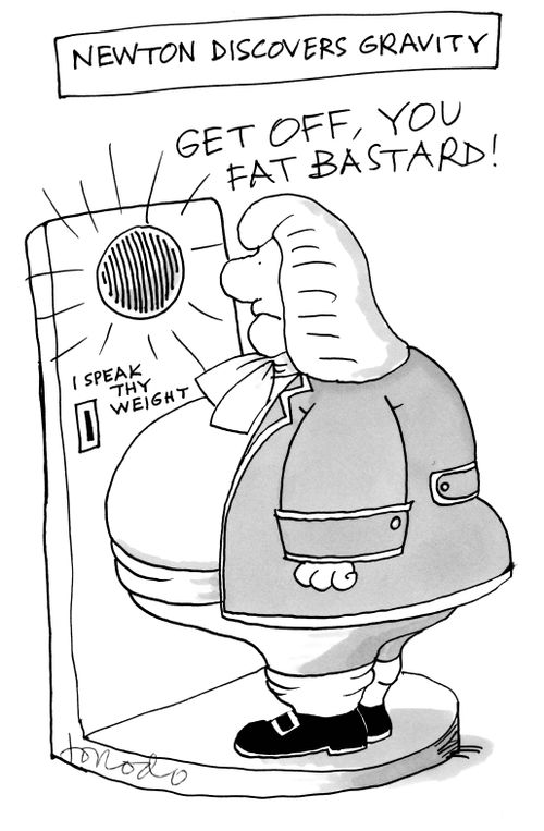 Newton Discovers Gravity
