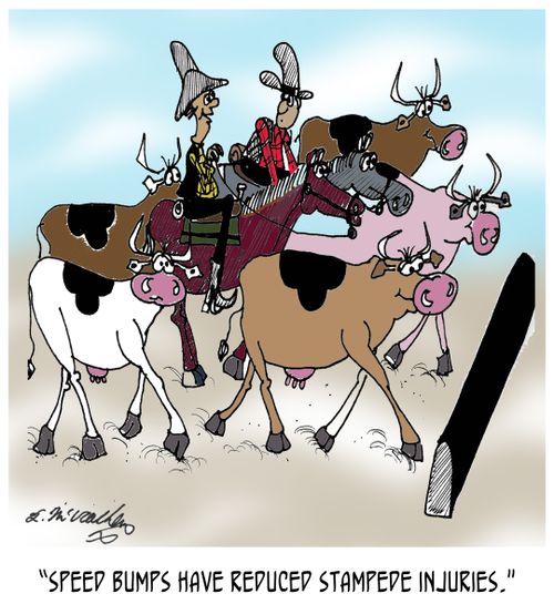 "Speed bumps have reduced stampede injuries."