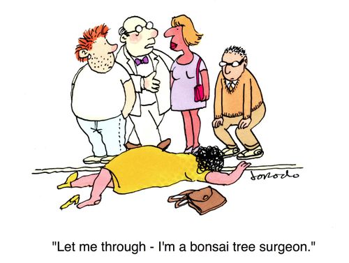 "Let me through - I'm a bonsai tree surgeon."