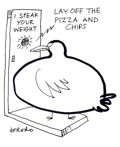 I Speak Your Weight: "Lay off the pizza and chips!"