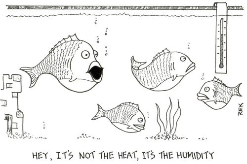 "Hey, it's not the heat, it's the humidity."