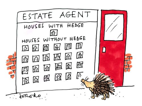 Estate Agent: Houses with Hedge....Houses Without Hedge