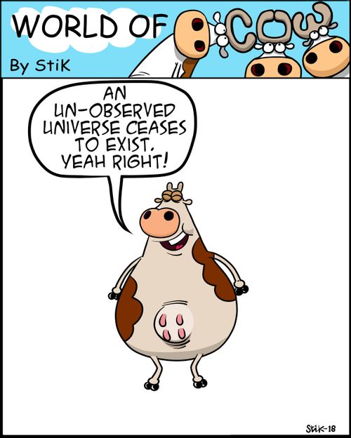 "An un-observed universe ceases to exist. Yeah right!"