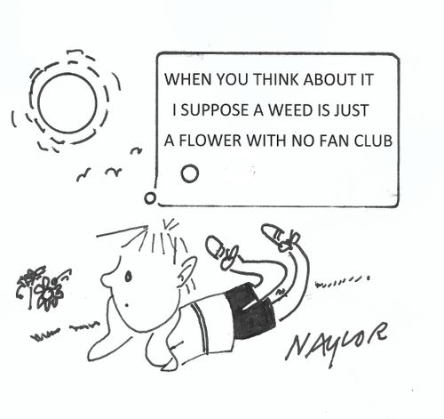 "When you think about it I suppose a weed is just a flower with no fan club."