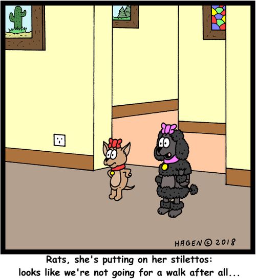 "Rats, she's putting on her stilettos: looks like we're not going for a walk after all..."