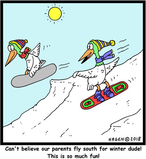 "Can't believe our parents fly south for winter dude! This is so much fun!"