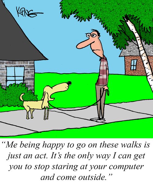"Me being happy to go on these walks is just an act. It's the only way I can get you to stop staring at your computer and come outside."