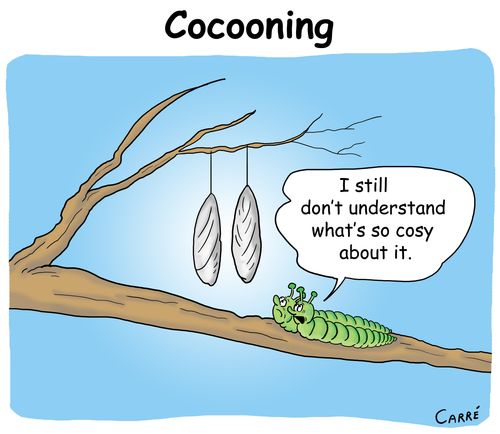 Cocooning: "I still don't understand what's so cosy about it."
