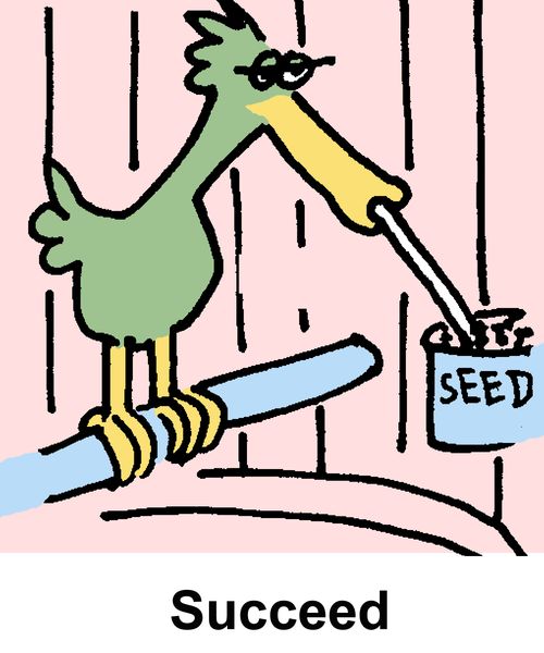 Succeed