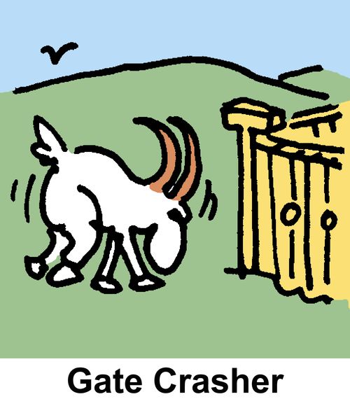 Gate Crasher