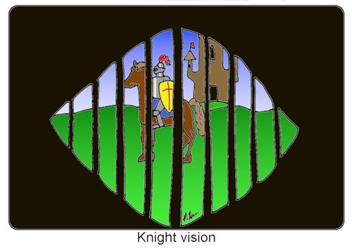 Knight Vision