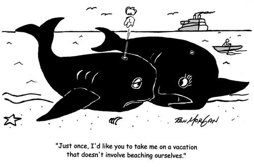 "Just once, I'd like you to take me on a vacation that doesn't involve beaching ourselves."