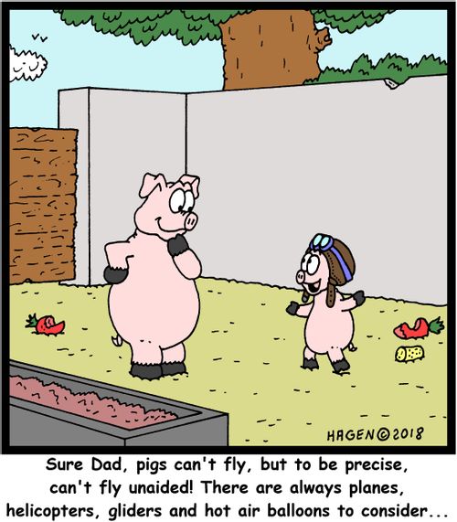 "Sure Dad, pigs can't fly, but to be precise, can't fly unaided! There are always planes, helicopters, gliders and hot air balloons to consider..."