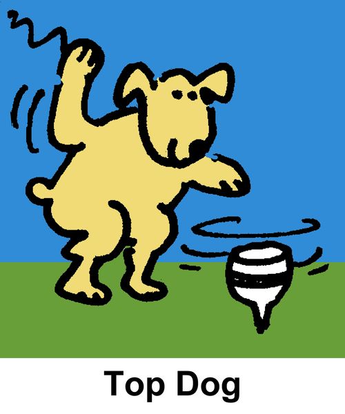 Top Dog