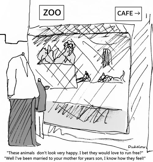 "These animals don't look very happy. I bet they would love to run free?"