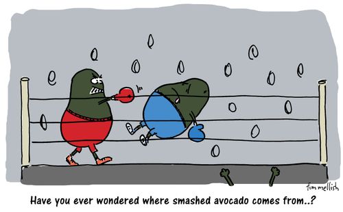 Have you ever wondered where smashed avocado comes from...?
