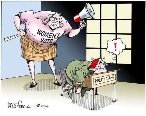Women's Vote and Politician