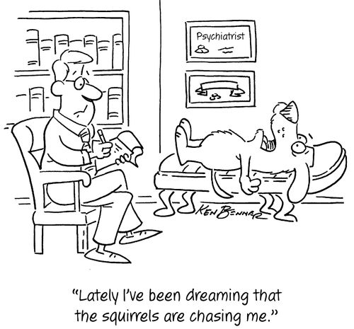 "Lately I've been dreaming that the squirrels are chasing me."