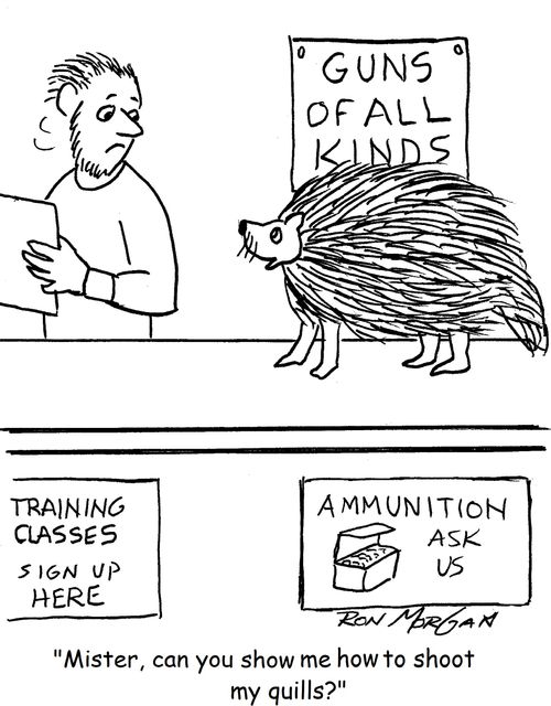 "Mister, can you show me how to shoot my quills?"