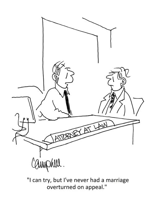 "I can try, but I've never had a marriage overturned on appeal."