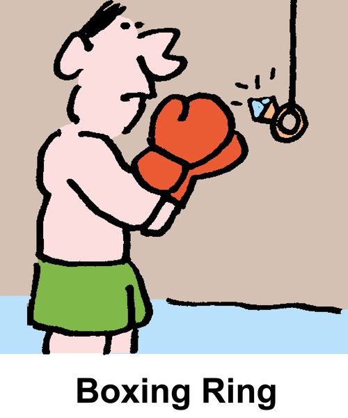 Boxing Ring