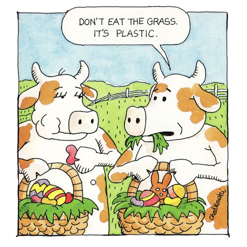 "Don't eat the grass. It's plastic."
