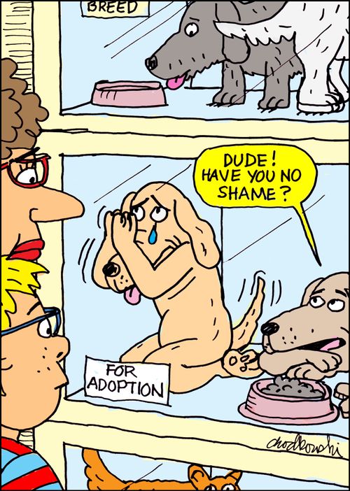 "Dude! Have you no shame?"