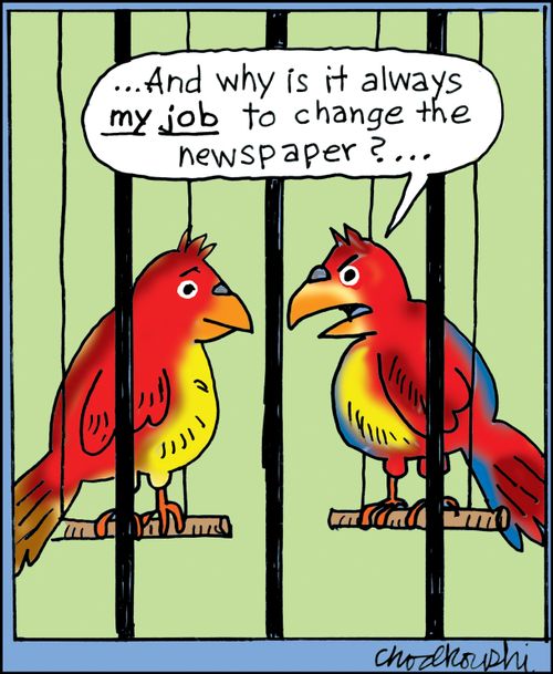 "...And why is it always my job to change the newspaper?..."