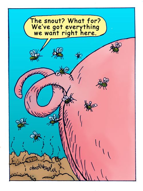 "The Snout? What For? We've got everything we want right here."