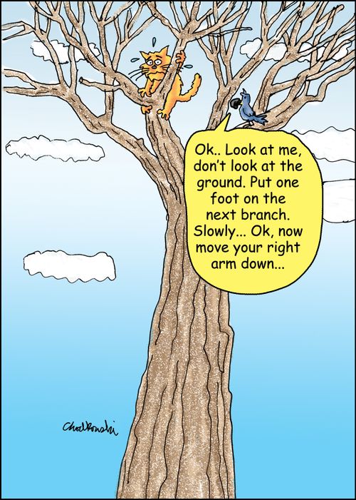 "Ok...Look at me, don't look at the ground. put one foot on the next branch. Slowly...Ok, now move your right arm down..."