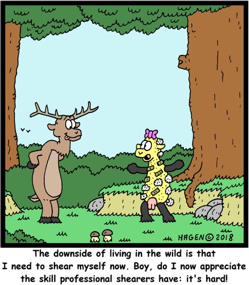 "The downside of living in the wild is that I need to shear myself now. Boy, do I now appreciate the skill professional shearers have: it's hard!"