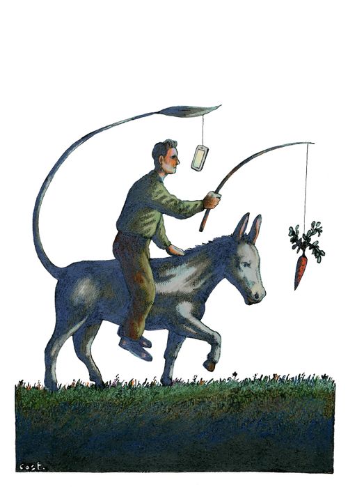 Dangling A Carrot