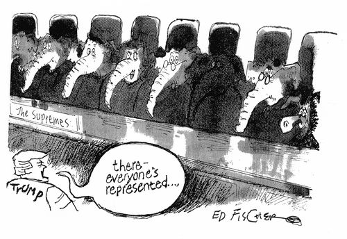 "There - everyone's represented..."