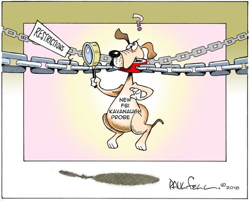 FBI Probe