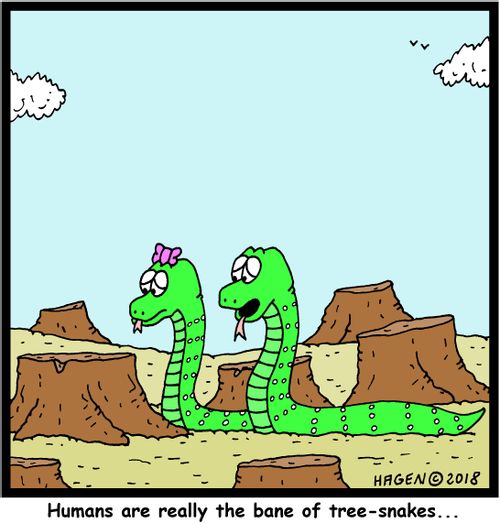 "Humans are really the bane of tree-snakes..."